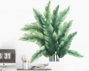 Tropical Plants Leaves Wall Sticker